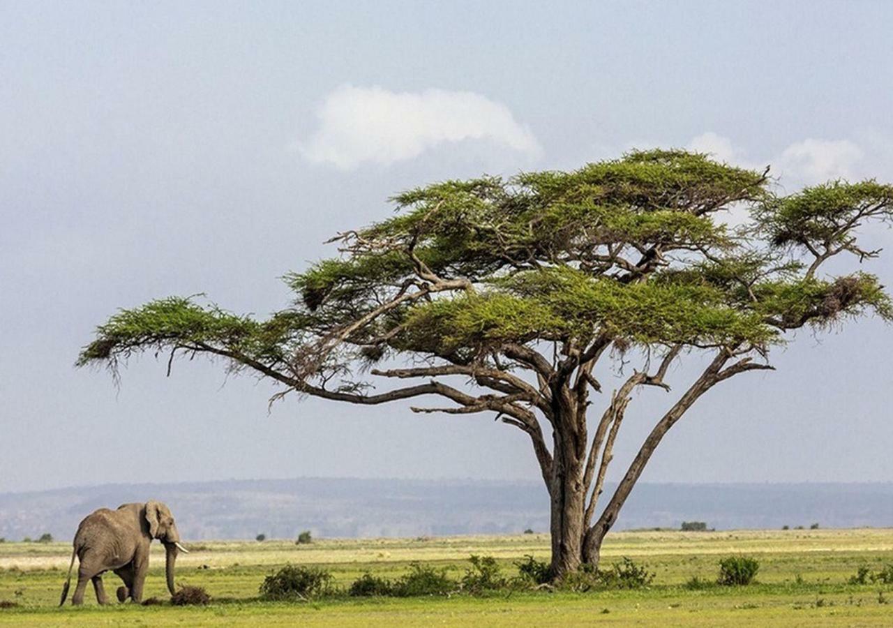 Aa Lodge Amboseli Dış mekan fotoğraf